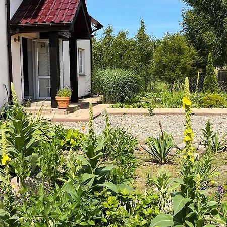 Pokoje Goscinne Neptunia Rusinowo  Exterior foto